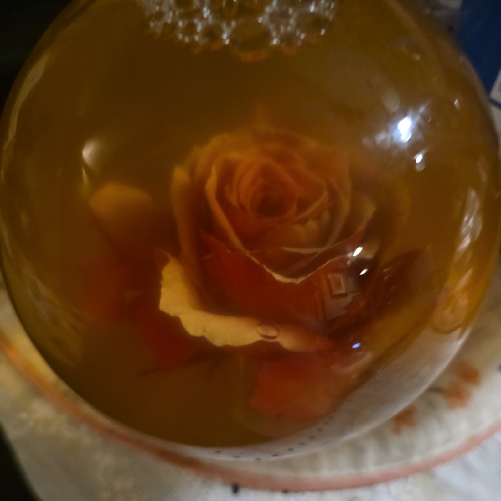 Vtg Forever Red ROSE In Glass Ball Water Dome Globe Large Real Rose 6×6 in.