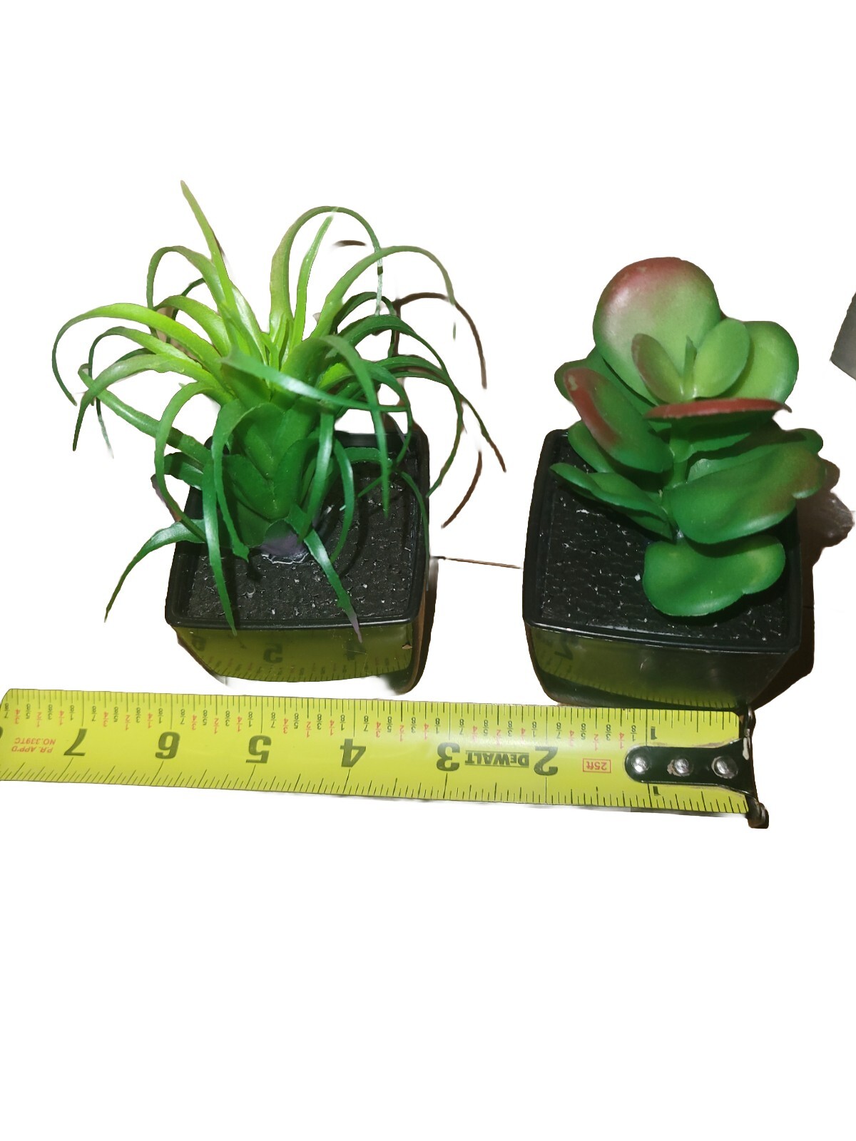 Jade And Tilliandsia Small Fake Plants For Window