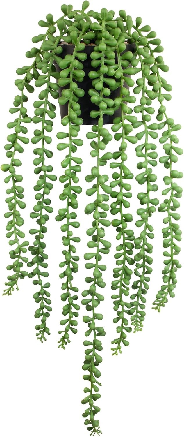 Realistic Artificial String of Pearls Plant – Faux Hanging Succulent Trailing