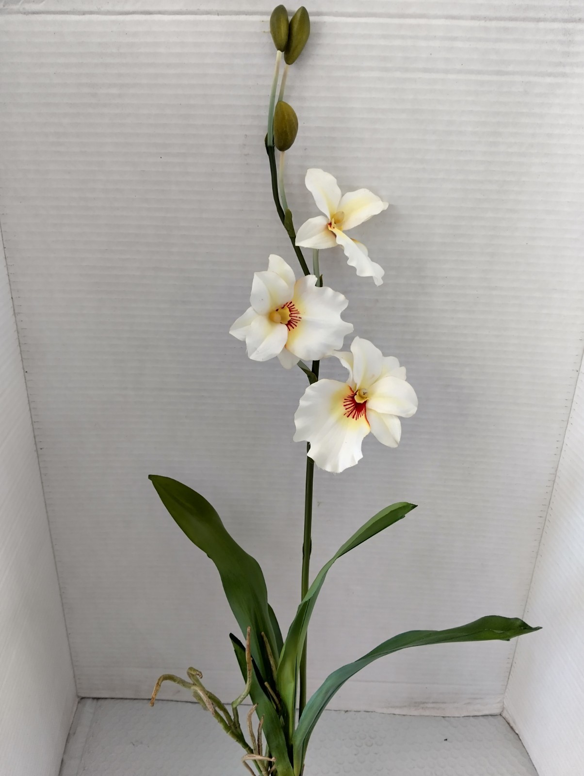 ARTIFICIAL miltoniopsis orchid plant