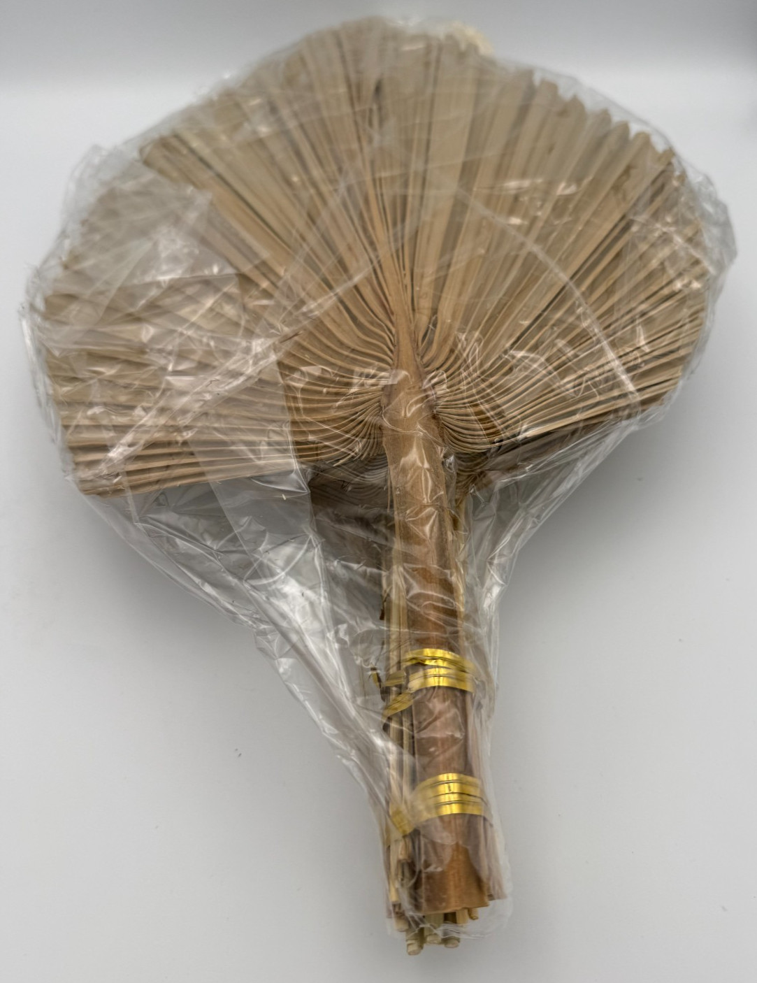 Dried Palm Leaves Fan Wall Decor Kit Natural Ornamental Grass Stems 16-17 in