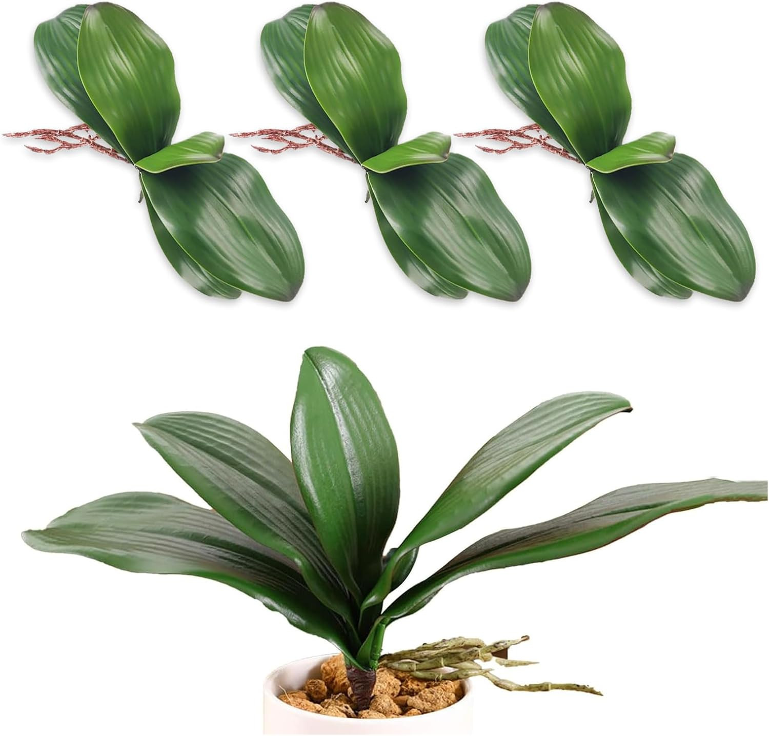 3 Packs Orchid Leaves Artificial Real Touch Phalaenopsis Stems Faux Cymbidium Fl