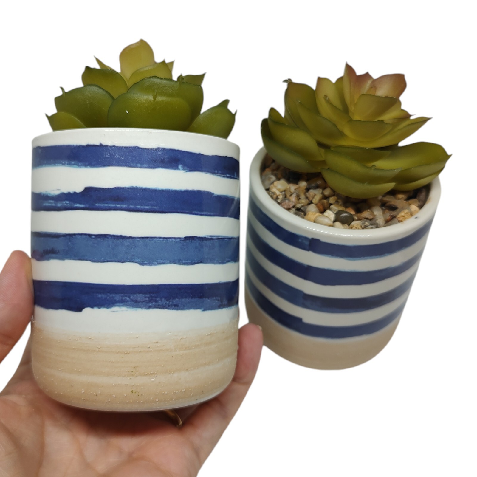 Set of 2 Faux Succulents In Ceramic Pots Rustic Coastal Small Artificial Plants