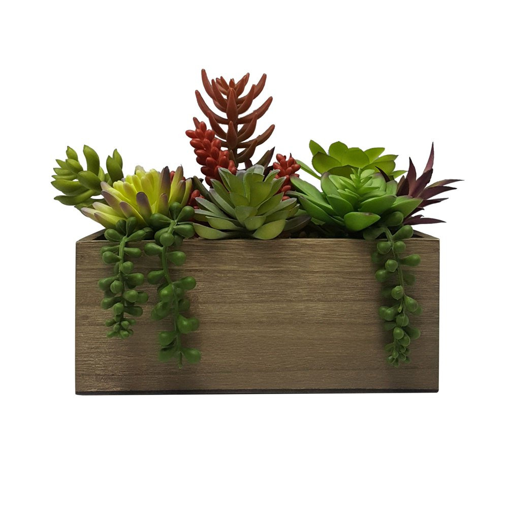 ARTIFICIAL MIXED SUCCULENT PLANTS 7.5 In High in Wood Box