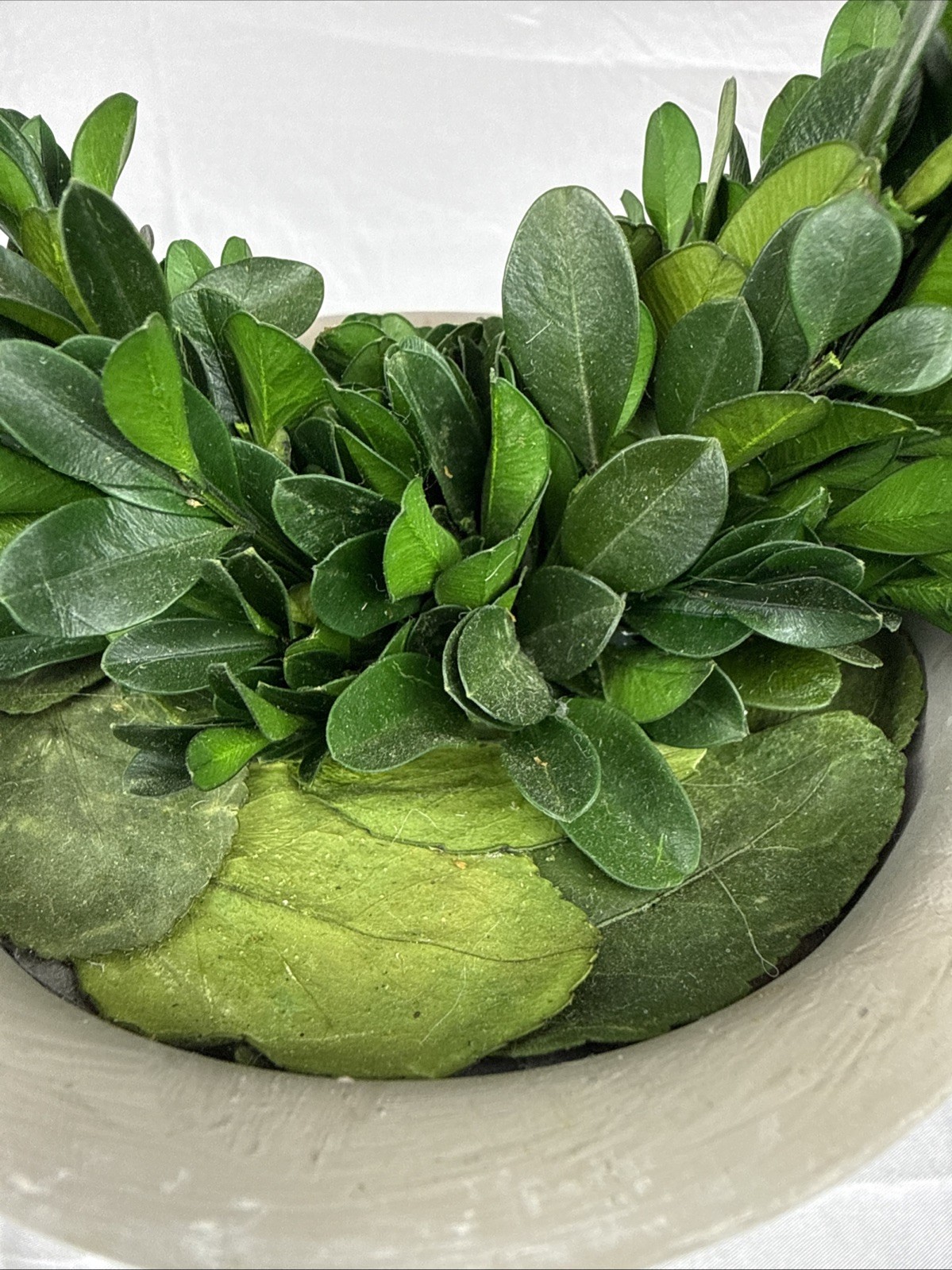 Artificial 12″ Green Boxwood Topiary Circular Wreath In Rustic Grey Ceramic Pot