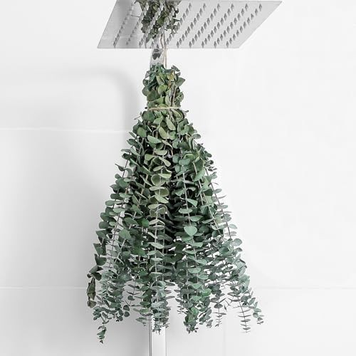 Dried eucalyptus stems bundle for shower hanging farmhouse home decoration