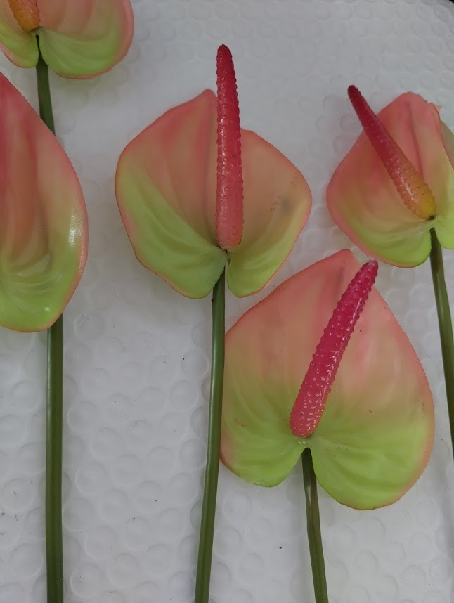 SIX MinI Anthurium stem cream/pink. Tropical stems Hawaiian flowers .