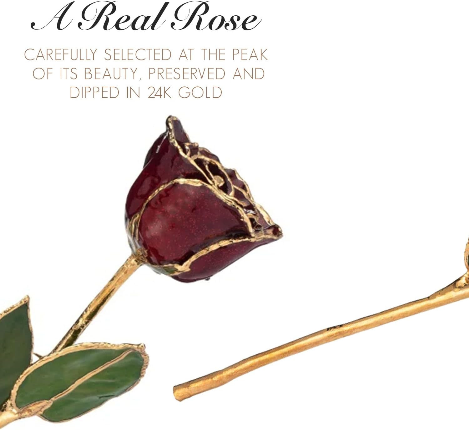24K Gold Dipped Garnet Rose – Unique January Birthstone Gift, 11-12 Inches