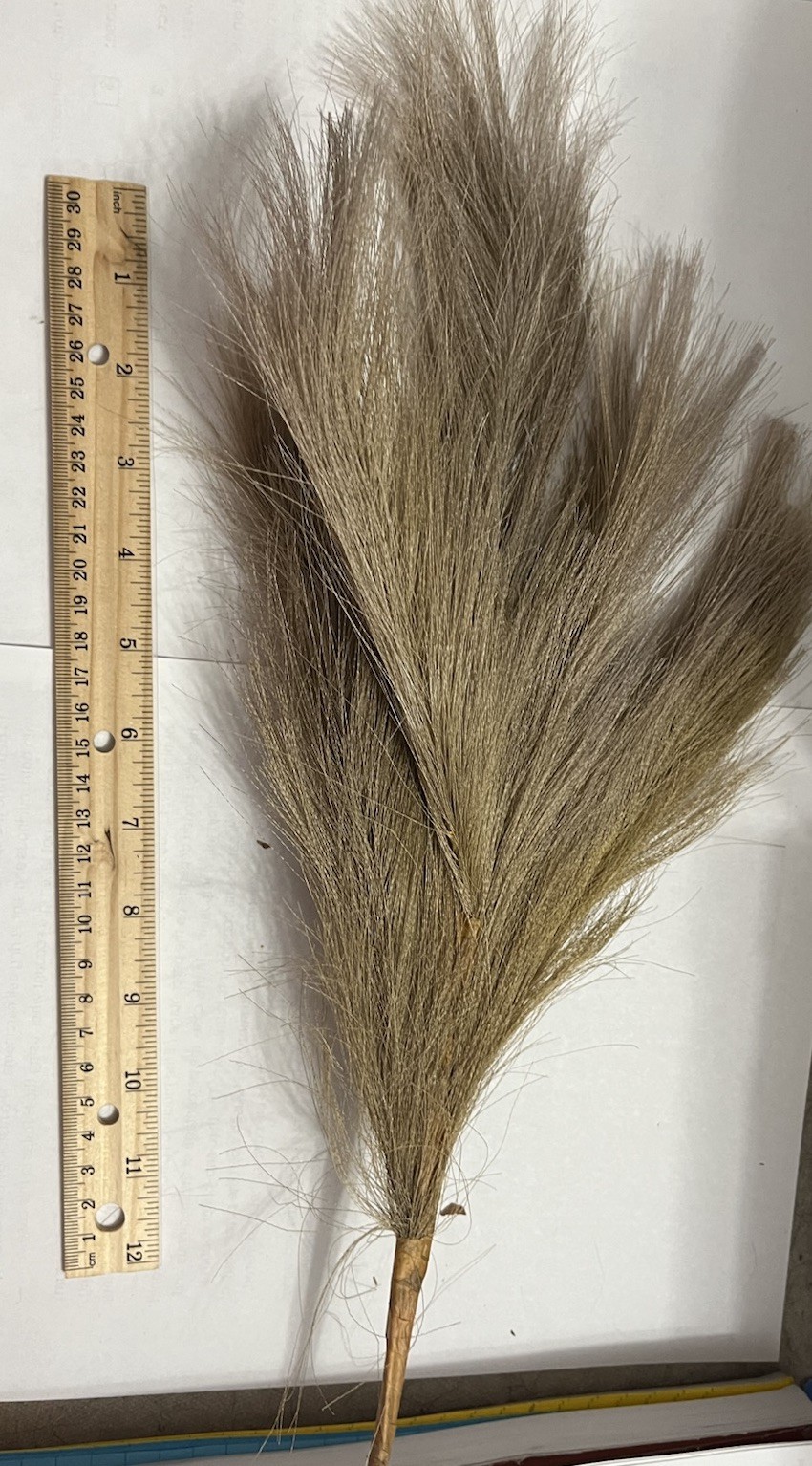 Ansemble of Faux Pampus Grass Bohemian Style Floral Arrangements about 5 Sprigs