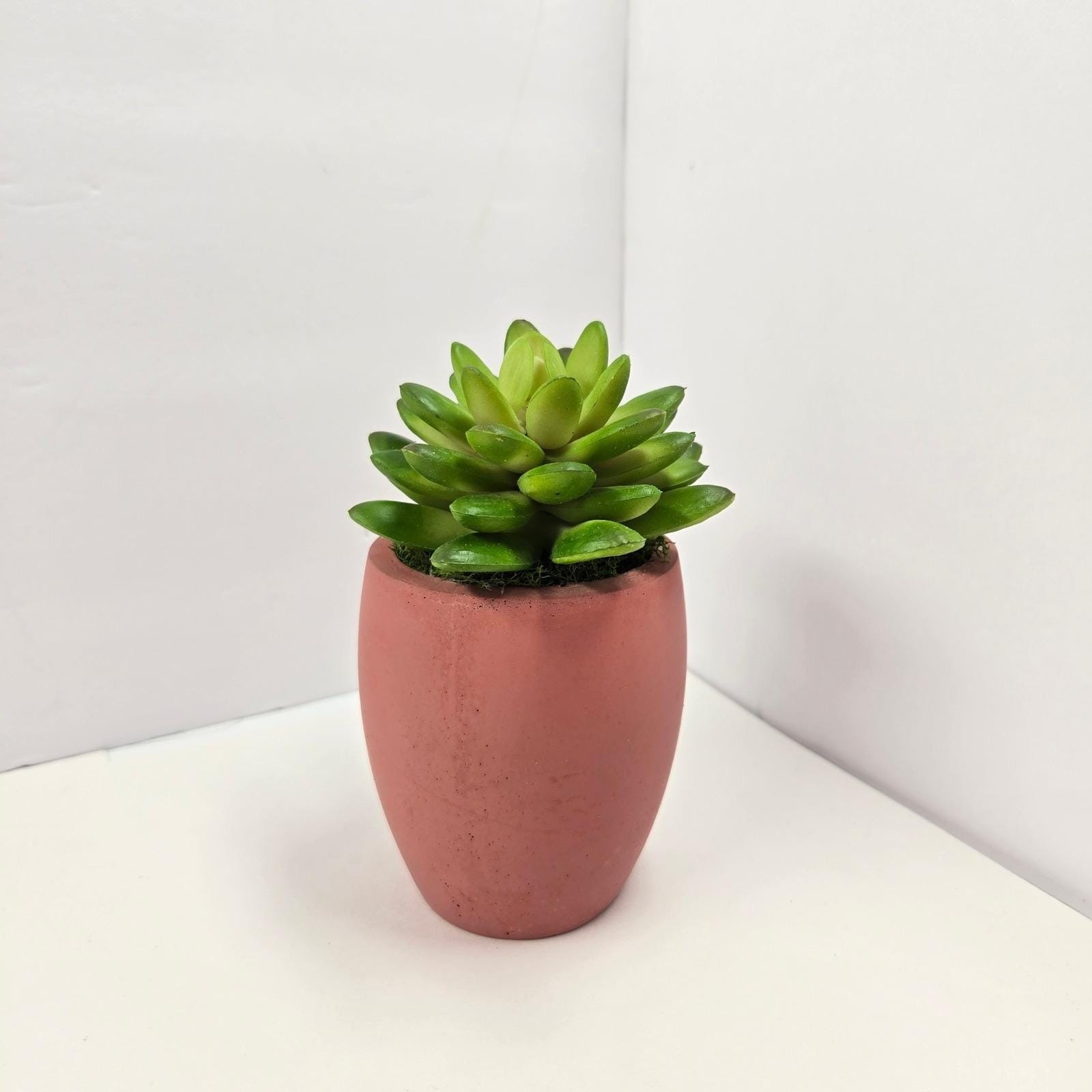 Handmade Faux Succulent in Clay Pot Mini Plant Decor Gift Home Office