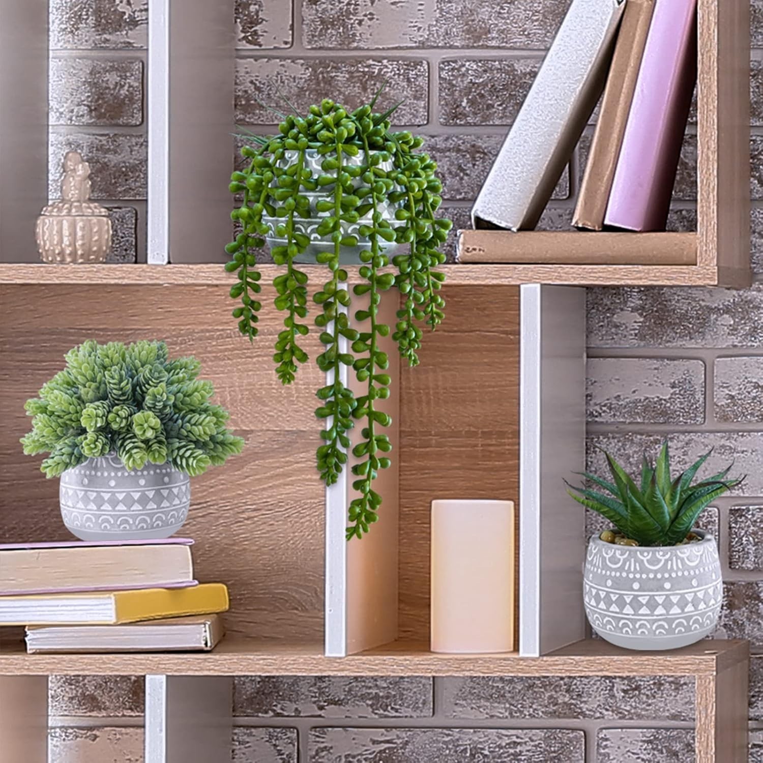 Assorted Small Potted Succulents for Modern Decor – No Maintenance Needed