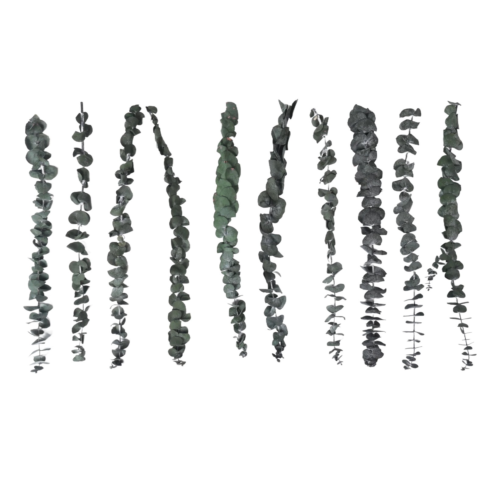 10Pack Natural Dried Eucalyptus Bundle,Preserved Fresh Eucalyptus Branches7907
