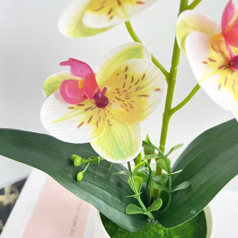 5 Flower Artificial Phalaenopsis Orchid Potted Plant for Wedding Home Decor