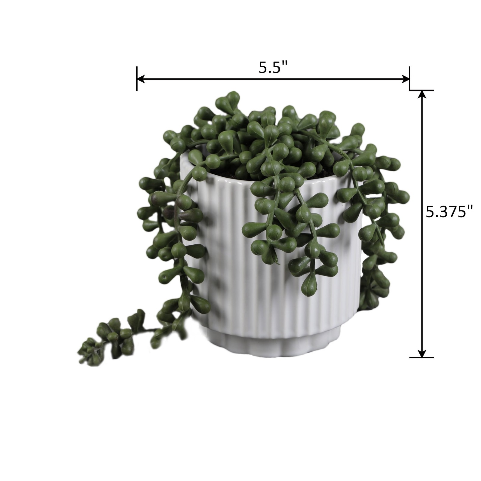 5.38” UV Protected Artificial String of Pearls in White Ceramic Pot Tabletops