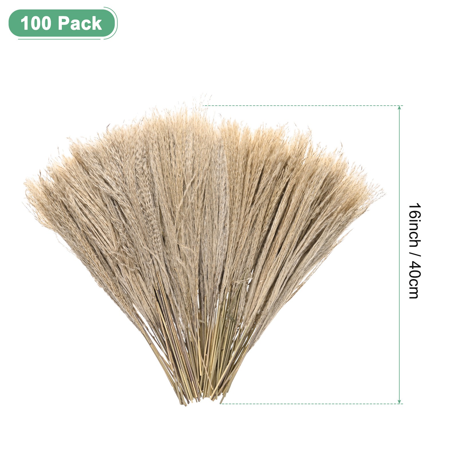 100-Pack Faux Pampas Grass 16 Inch for Home Decor/Wedding [Natural]
