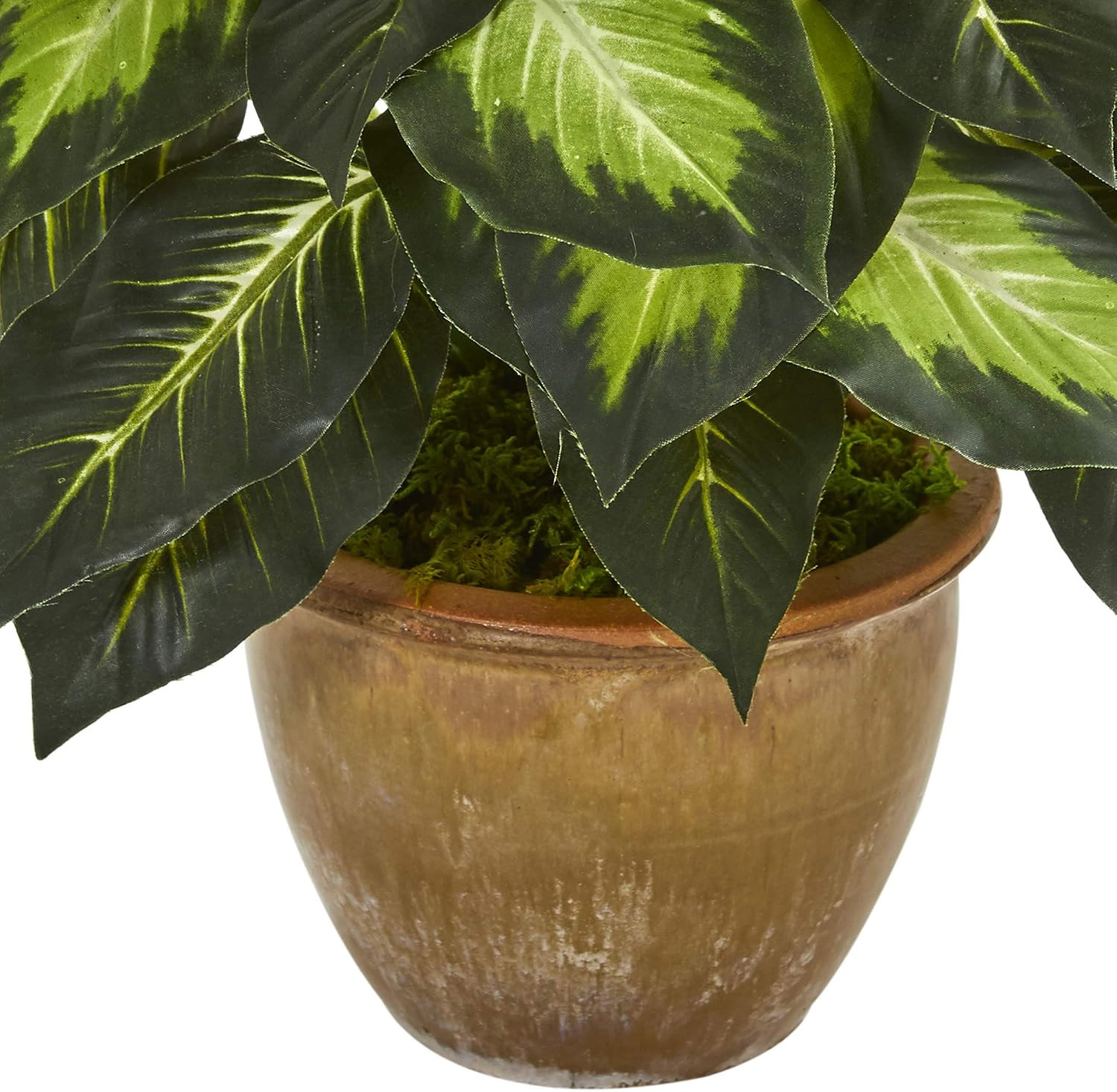Faux Dieffenbachia Plant in Ceramic Planter – Perfect Indoor Decor