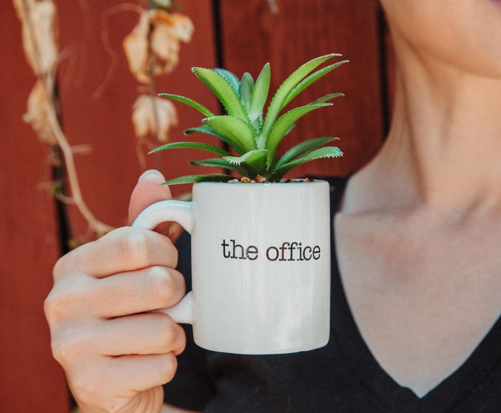 The Office World’s Best Boss Mini Planter With Artificial Plant Decor