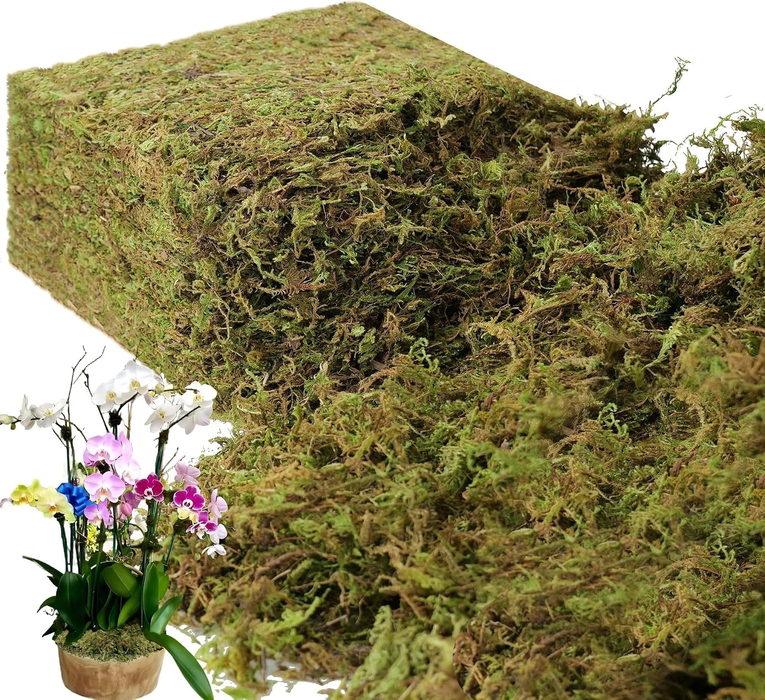 Artificial Green Moss for Plants Crafts Home Decor Fairy Garden 35 OZ