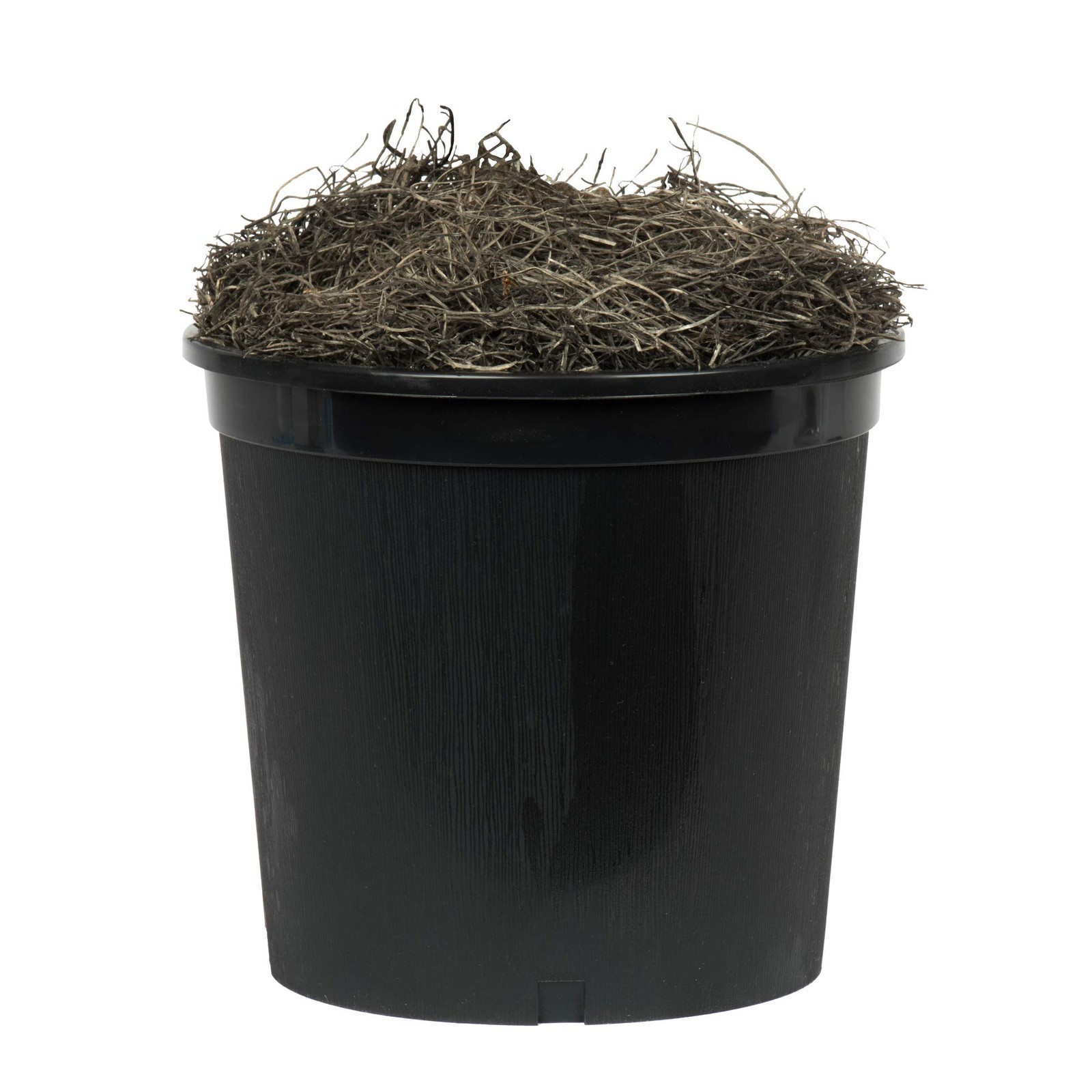 Pemberly Row 6′ Artificial Frosted Maple Tree w/ Black Plastic Pot – Green/Brown