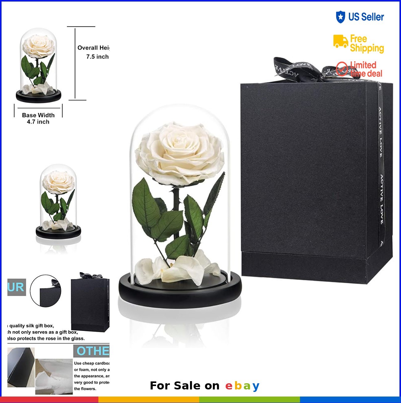 Preserved White Rose in Glass Dome Wooden Base Forever Flowers Gift for Her