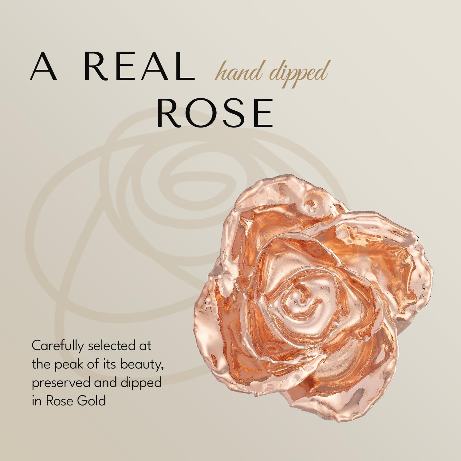 Luxury Leather Case with LED Real Rose Gold Rose – Unique Valentine’s Gift