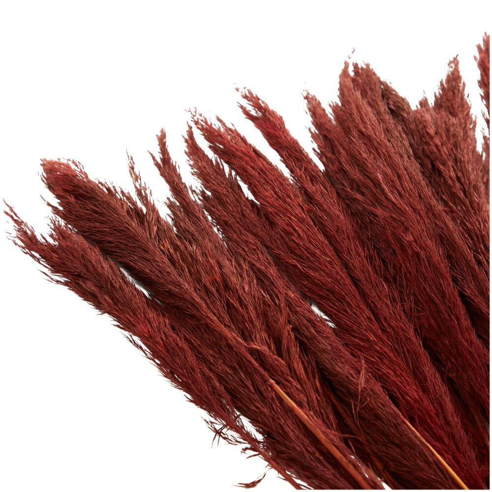 35 In. Pampas Natural Foliage with Long Stems (1 Bundle)