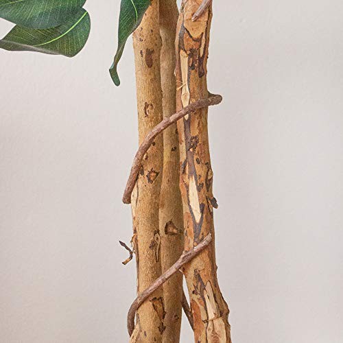 Triple Trunk Artificial Ficus Tree with Natural Wood Trunks, 7ft Tree in Pot
