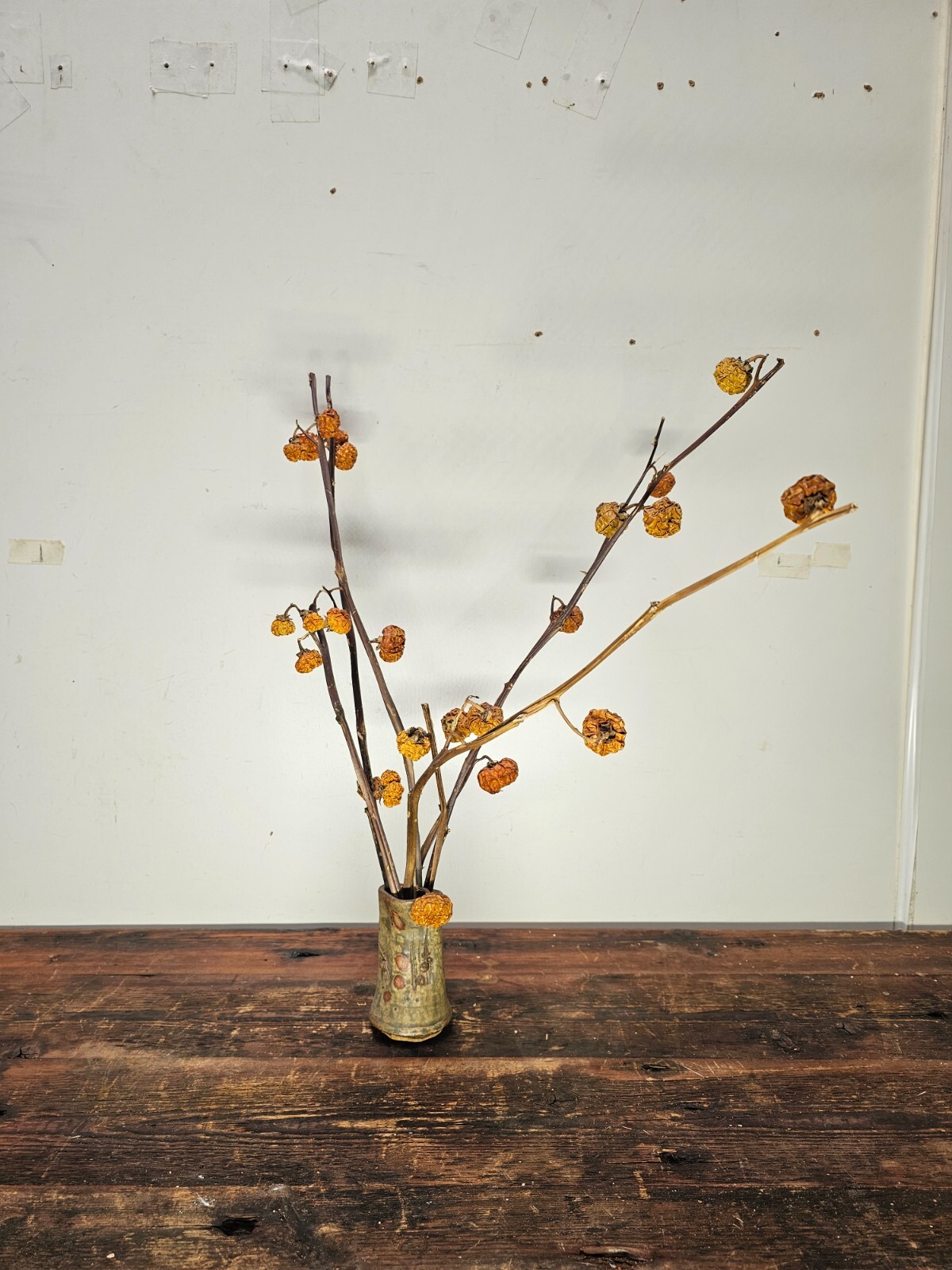 Dried Pumpkins On Sticks In A Singed Vase Asian Style Decoration