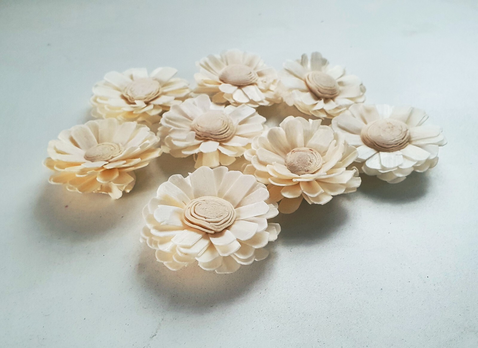 15 White Daisy Sola Wood Flower Diffuser Flowers 5 cm Dia. For Decorate Craft