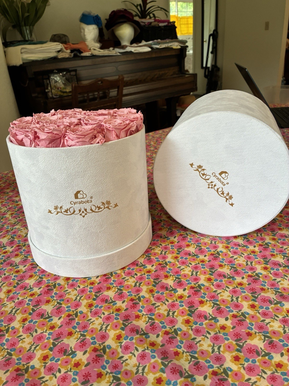 Cyrabota Luxury Preserved Pink Roses in White Suede Box 16 Count
