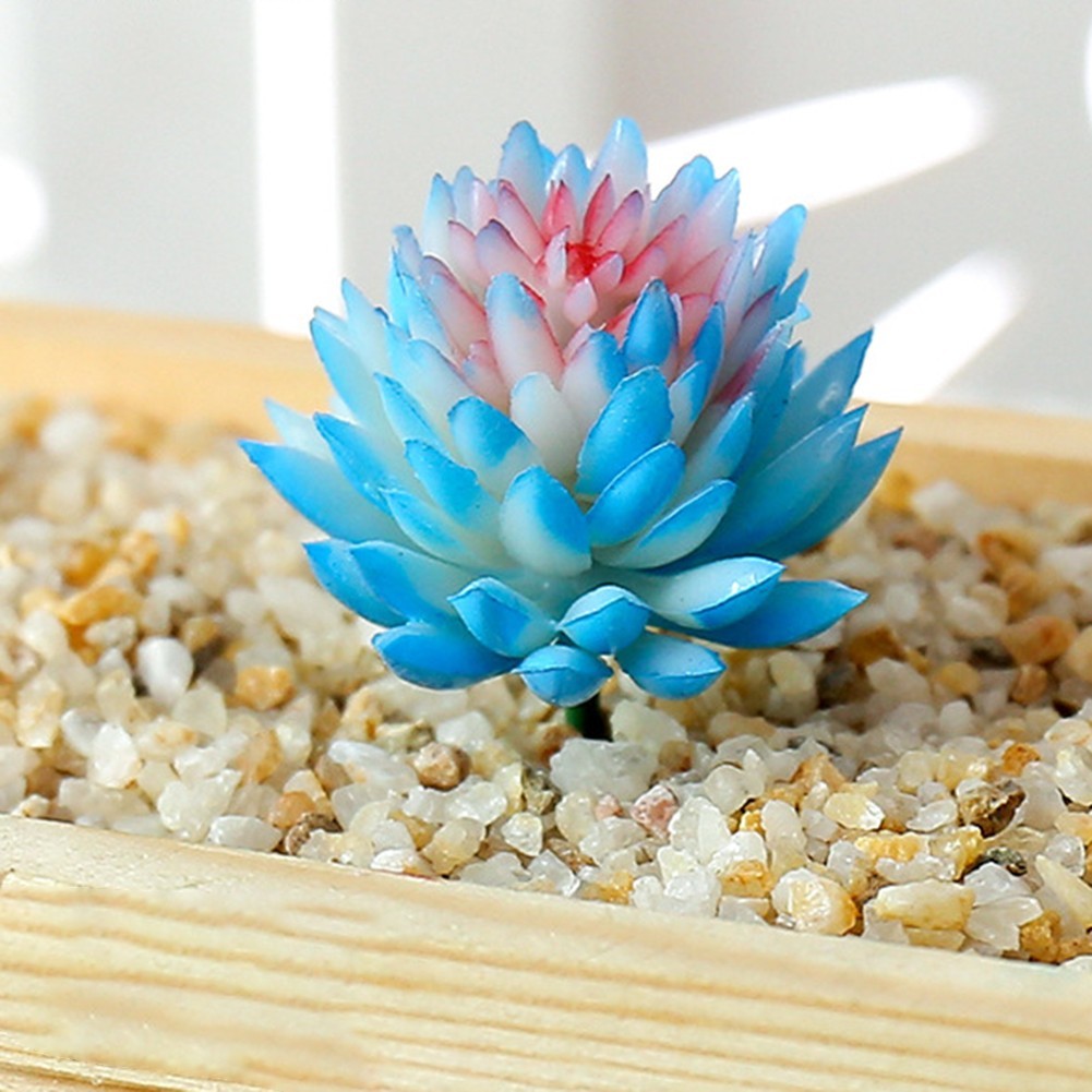 Realistic Artificial Succulent Simulation Plant Perfect for Home and Office