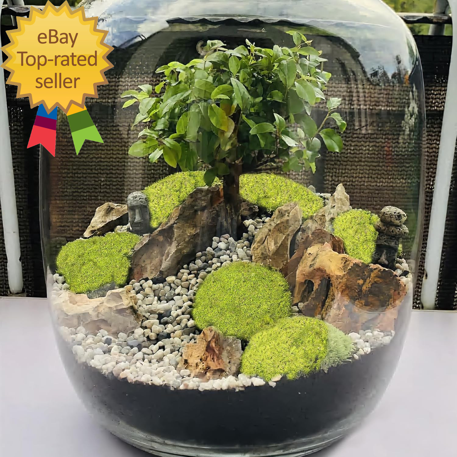 Preserved Pillow Moss Bulk Green Moss Balls for Bowls 2.5 Sq.Ft Natural