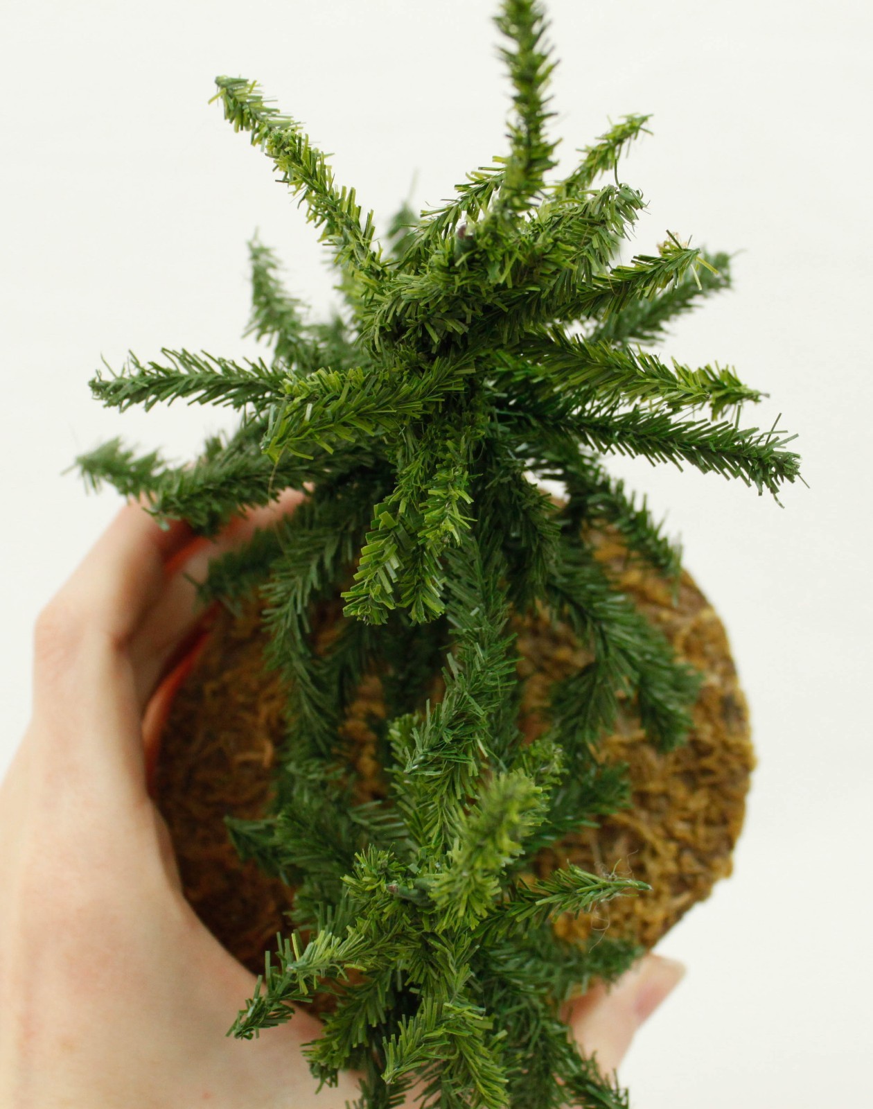 Two Small Pine Trees Tabletop Shelf Nature Decoration Moss Base
