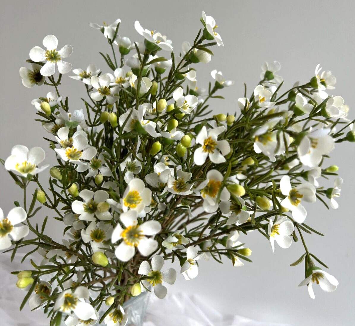 Australian Native Flowers Wax Flower Geraldton Wax Spray White Faux Silk Stem