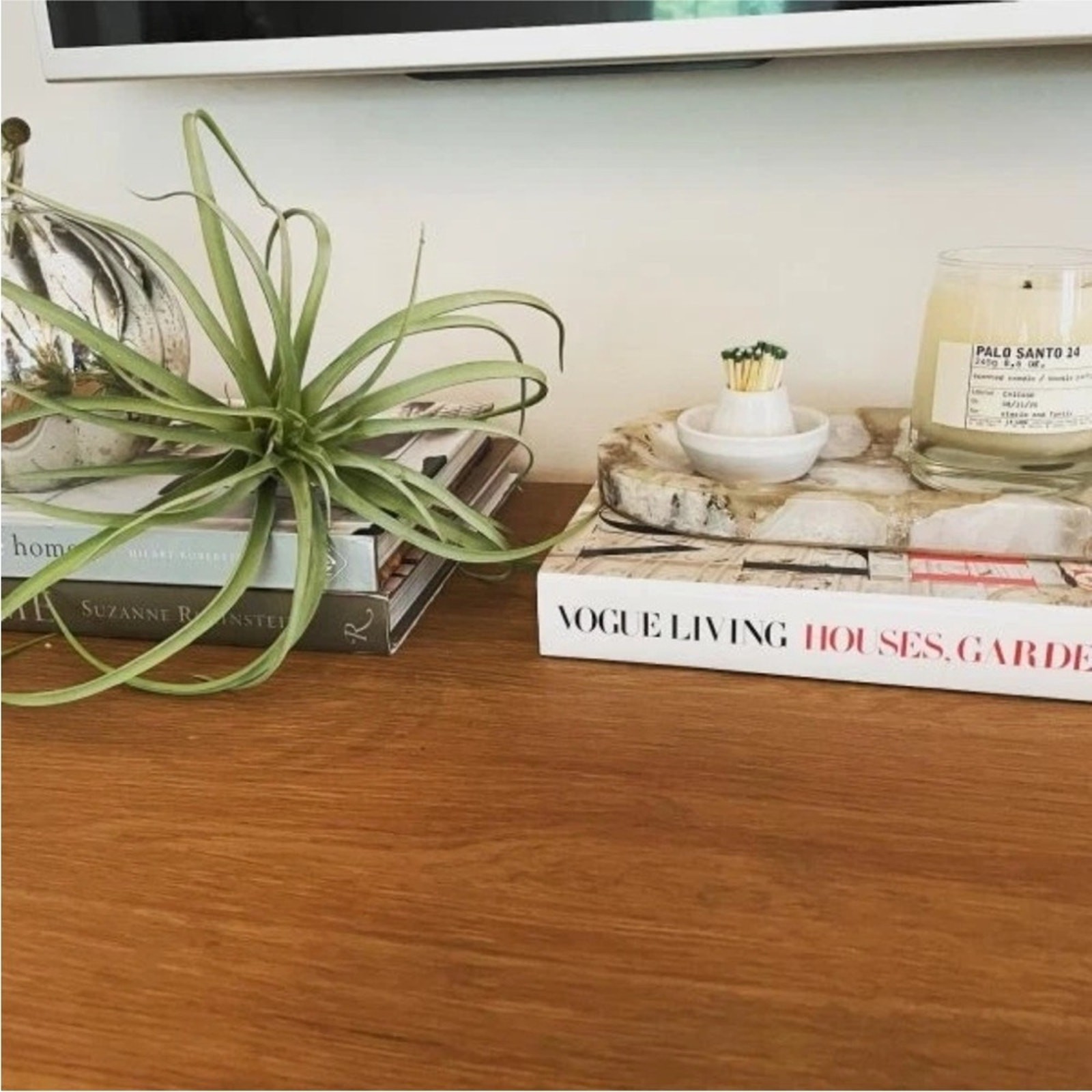 NEW POTTERY BARN Soft Mint Green Faux Air Plant Tillandsia Table Decor Display
