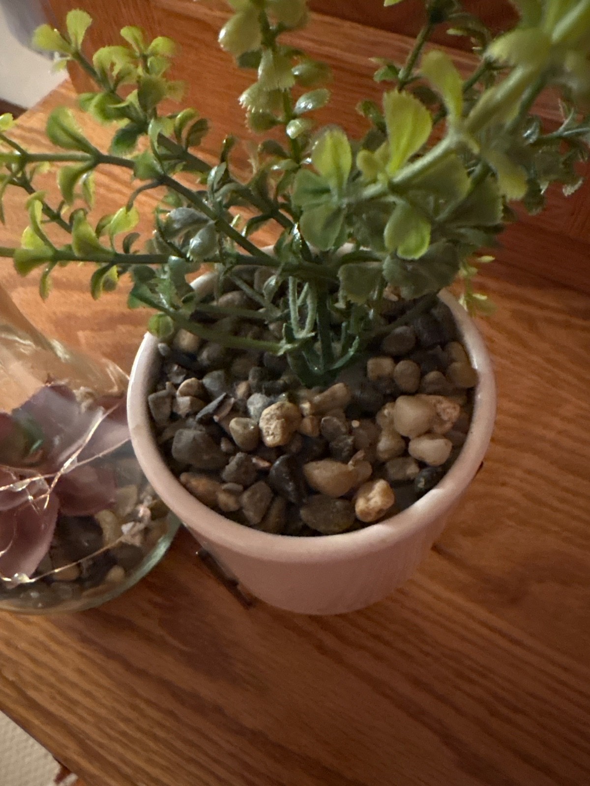 Two pieces, succulent decor
