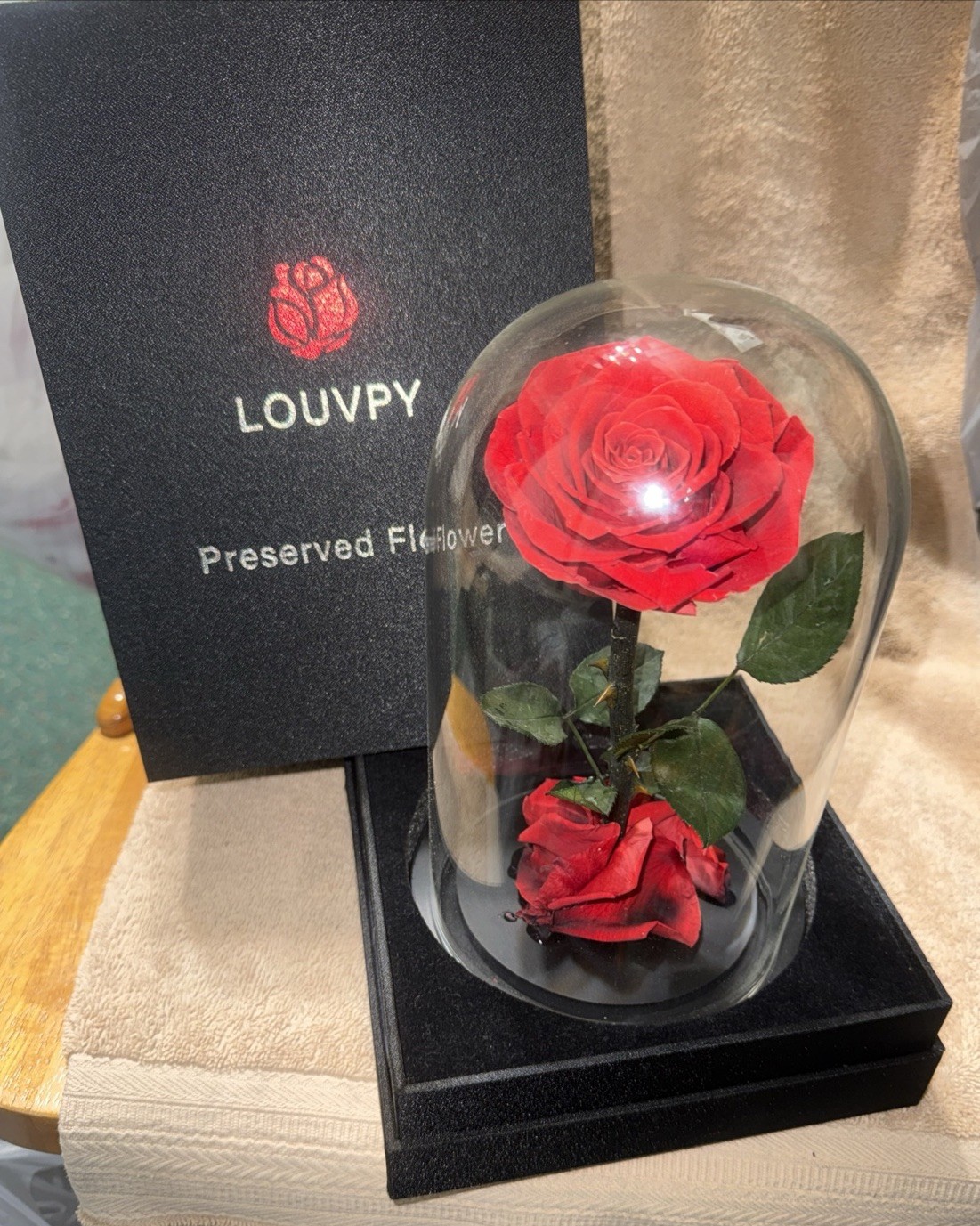 Forever Roses – Gifts Idea for Mom – Beauty and the Beast Rose in Glass Dome –