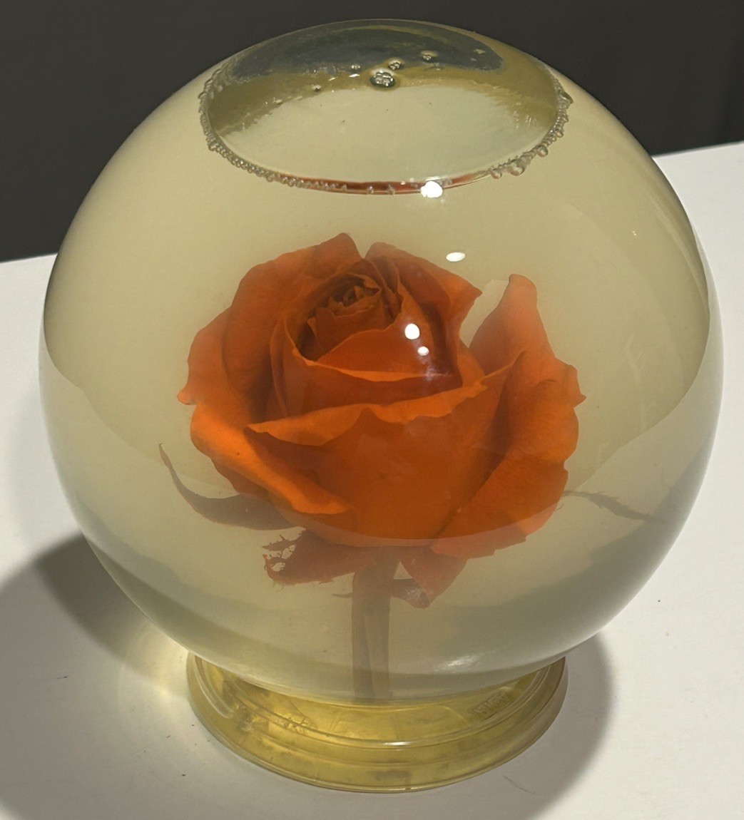 Vintage Liquid Filled Orange Rose Display Globe Preserved Flower Decor