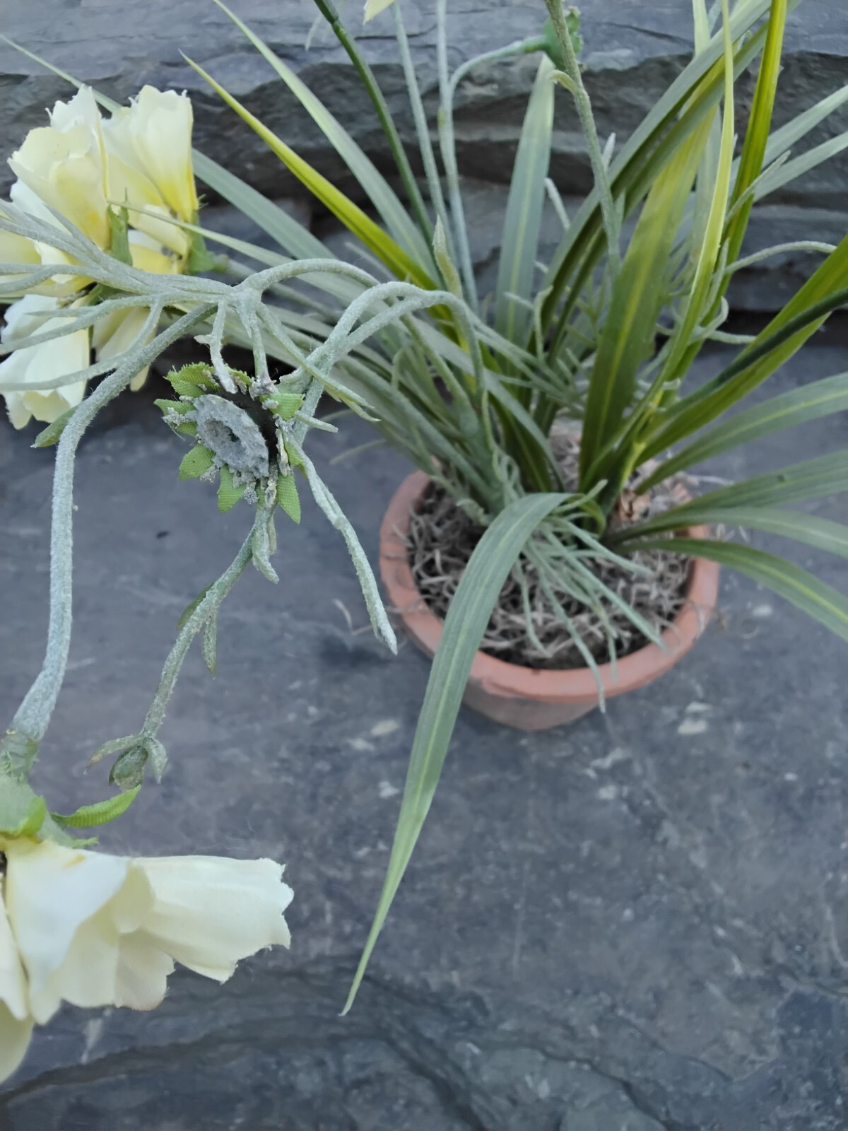 Faux Yellow Spring Flower Plant in Terra Cotta Pot, Daisy, Toplis