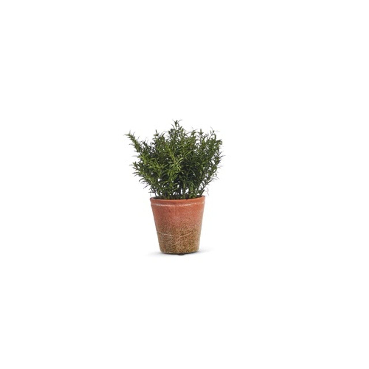 Raz Imports Soft Touch Potted Herb, Rosemary – 12″ (4402037C)