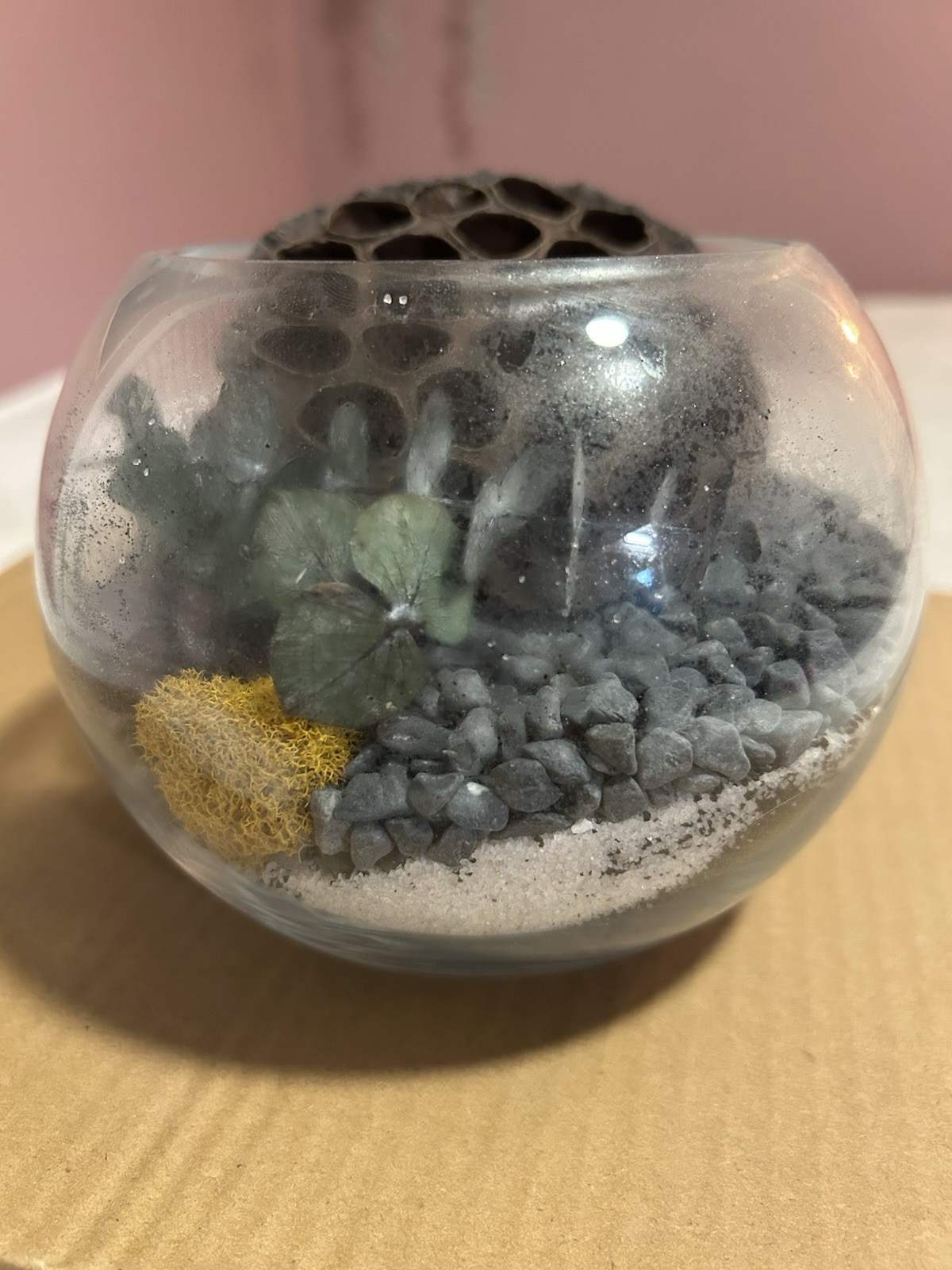 terrarium Glass Globe Sand Gravel Fake plants SpongeShelf Counter Decor Shells