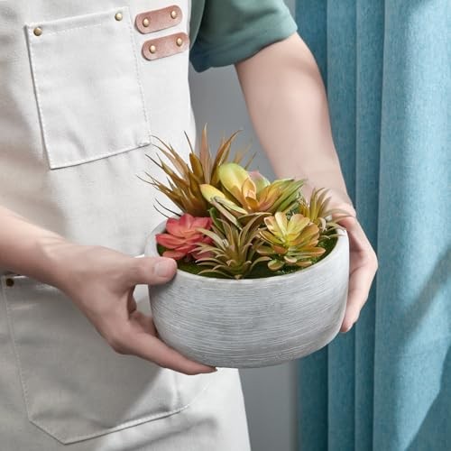 Artificial Succulent Plants in Pots,Fake Succulents with Gray 6inch Grey#1