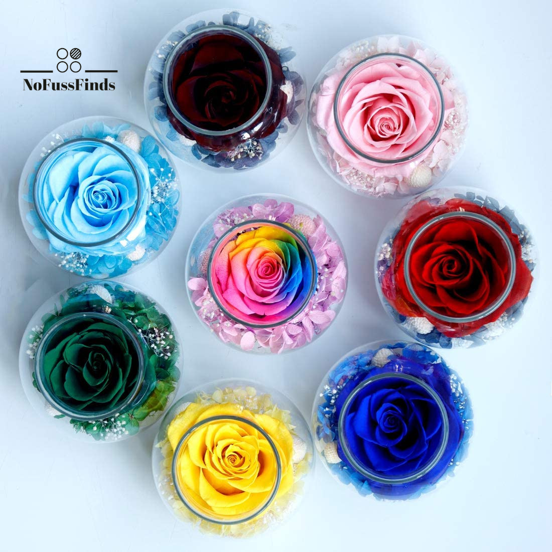 Preserved Real Roses with Colorful Mood Light Wishing Bottle, Eternal Rose，Never