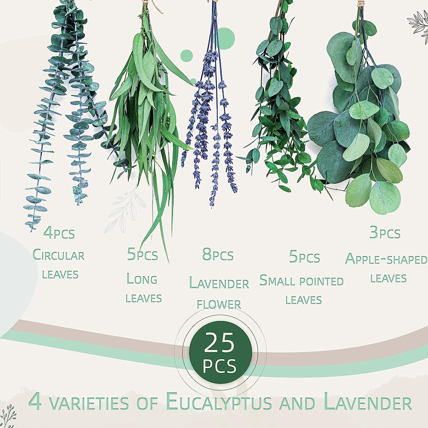 4 Kinds Fresh Eucalyptus & Lavender Flowers Bundles for Shower & Home Decor