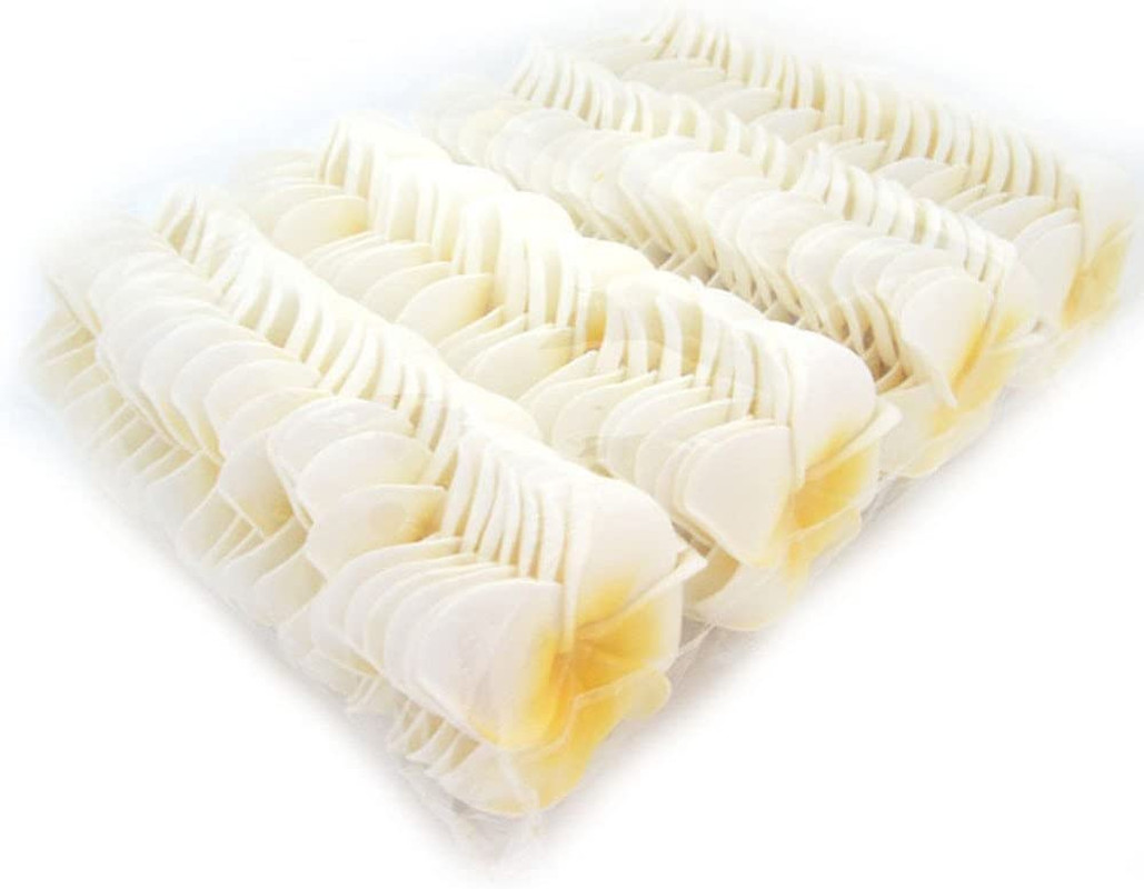 100Pcs White Foam Hawaiian Frangipani Artificial Plumeria Flower Petals Cap Hair