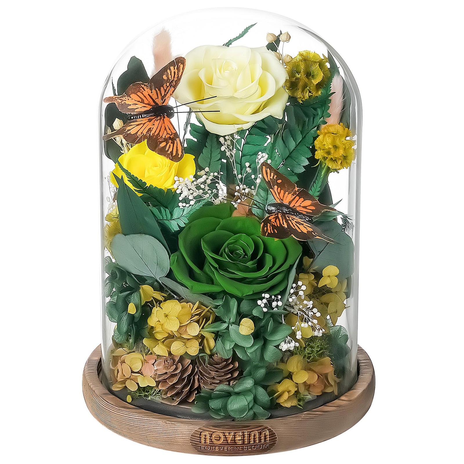 Preserved Flowers in Glass Dome – Eternal Rose Arrangement with Real Preserve…