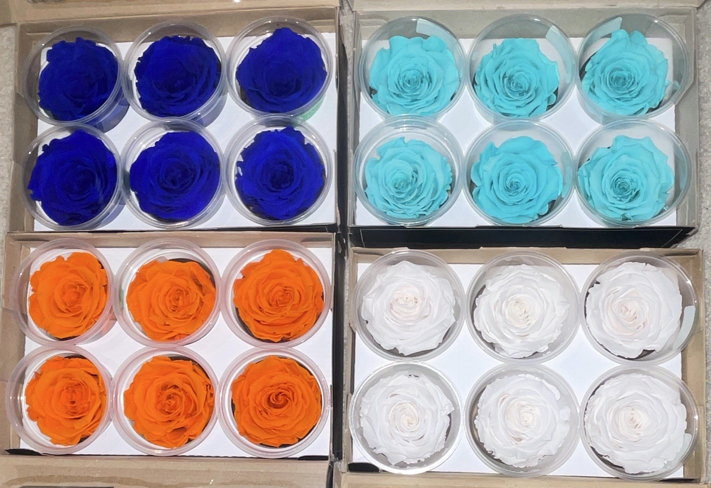 RoseAmor Preserved Rose Flower Heads Gift Boxes Blue, Light Blue, Orange, White