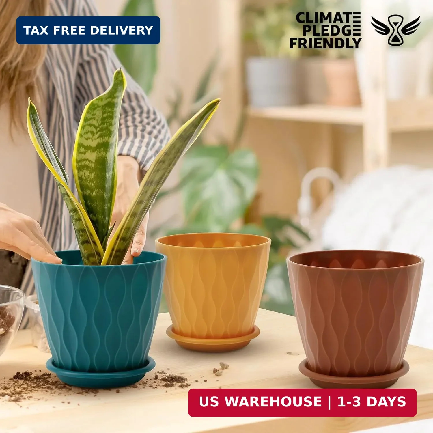 6 Inch Plant Pots 5 Pack Planters with Drainage Holes & Saucers