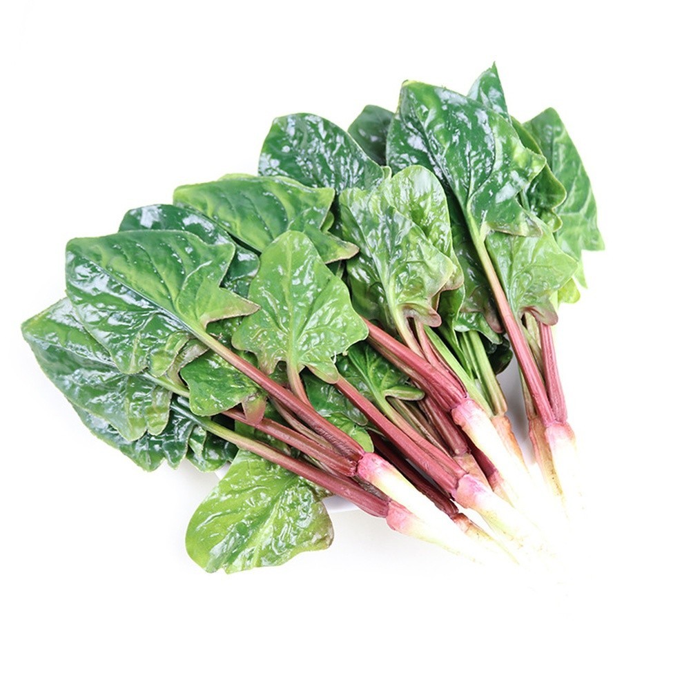 Decorative Spinach Piece for Spring Summer Fall Winter Interior Accents