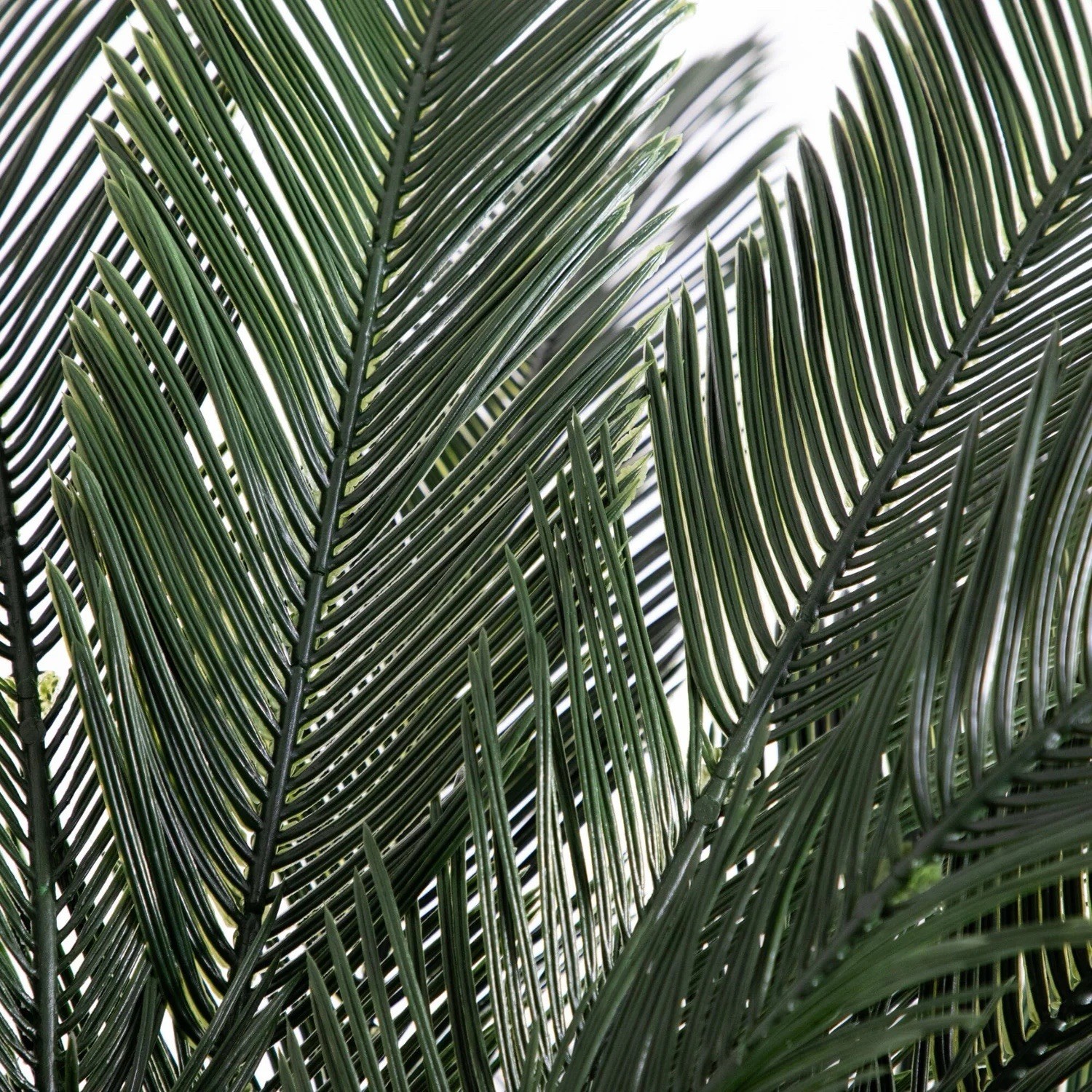 6’ UV Cycas Artificial Palm Tree Home Decor Indoor/Outdoor